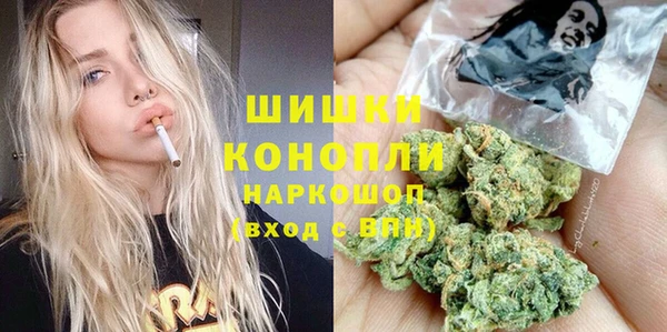 соль ск Каменногорск